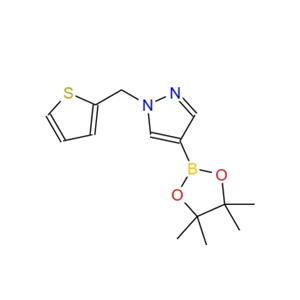 1-(噻吩-2-甲基)-1H-吡唑-4-硼酸频那醇酯,4-(4,4,5,5-Tetramethyl-1,3,2-dioxaborolan-2-yl)-1-(2-thienylmethyl)-1H-pyrazole
