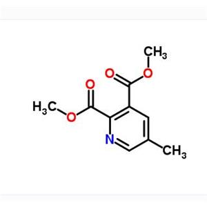 5-甲基吡啶-2,3-二甲酸二甲酯	