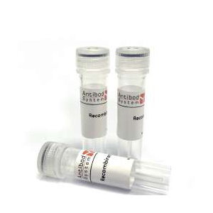 Anti-Romiplostim Monoclonal Antibody (1A432) (MHE26003),Anti-Romiplostim Monoclonal Antibody (1A432) (MHE26003)