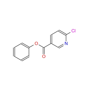 phenyl 6-chloronicotinate 760991-75-1