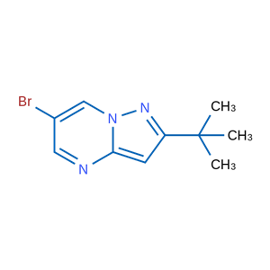 6-Bromo-2-(tert-butyl)pyrazolo[1,5-a]pyrimidine