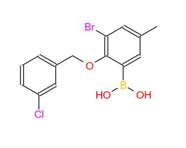 3-溴-2-(3'-氯芐氧基)-5-甲基苯基硼酸,3-Bromo-2-(3-chlorobenzyloxy)-5-methylphenylboronic acid