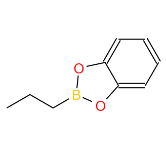 1-丙基硼酸儿茶酚酯,2-PROPYL-1,3,2-BENZODIOXABOROLE