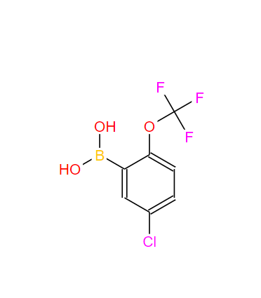 [5-氯-2-(三氟甲氧基)苯基]硼酸,5-Chloro-2-(trifluoromethoxy)phenylboronic acid