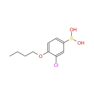 4-丁氧基-3-氯苯基硼酸,4-Butoxy-3-chlorophenylboronic acid