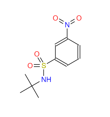 N-叔丁基-3-硝基苯磺酰胺,N-T-BUTYL 3-NITROBENZENESULFONAMIDE