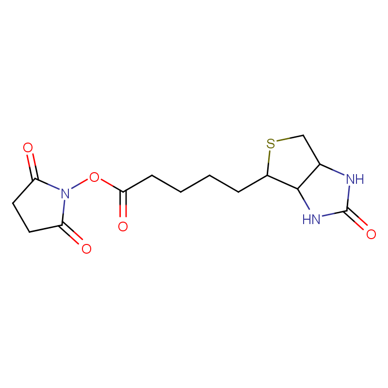 (+)生物素-N-琥珀酰亚胺基酯,Biotin NHS