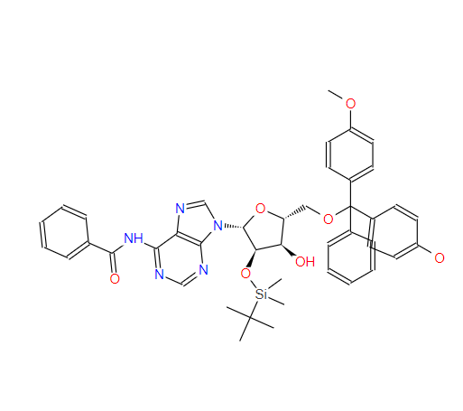 5'-DMT-2'-TBDMS-BZ-RA,5'-DMT-2'-TBDMS-BZ-RA