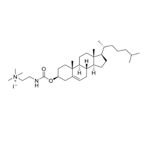 TMA-Cholesterol