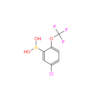 870822-78-9 [5-氯-2-(三氟甲氧基)苯基]硼酸