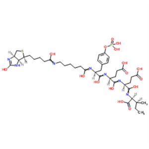 SH2 Domain Ligand (5);Biotin-LC-pY-EEI 201422-05-1