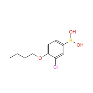 4-丁氧基-3-氯苯基硼酸,4-Butoxy-3-chlorophenylboronic acid