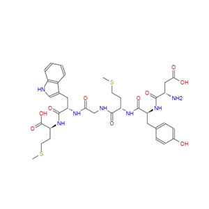 胆囊收缩素1-6,Cholecystokinin Octapeptide (1-6) (desulfated)