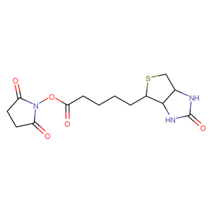 (+)生物素-N-琥珀酰亚胺基酯 35013-72-0