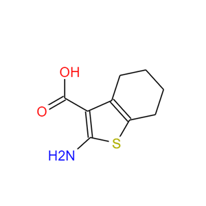 2-氨基-4,5,6,7-四氢苯并[B]噻吩-3-羧酸