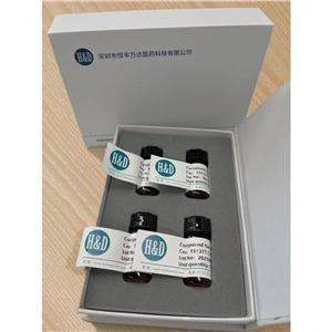 帕利哌酮杂质50,Paliperidone Impurity 50