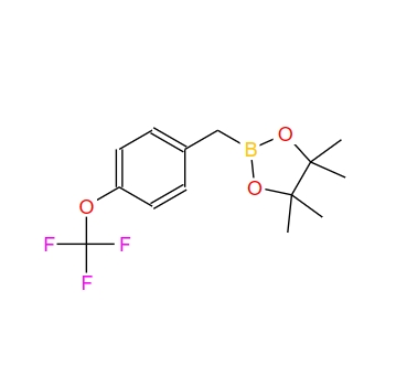 4-(三氟甲氧基)苄基硼酸频哪醇酯,4-(Trifluoromethoxy)Benzylboronic Acid Pinacol Ester