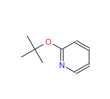 2-(叔丁氧基)吡啶,2-(tert-butoxy)pyridine