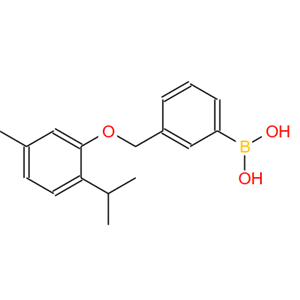 1072951-74-6;3-[(2-异丙基-5-甲基苯氧基)甲基]苯硼酸;3-[(2'-ISOPROPYL-5'-METHYLPHENOXY)METHYL]PHENYLBORONIC ACID