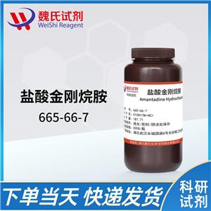 魏氏试剂    盐酸金刚烷胺-665-66-7  工艺技术  