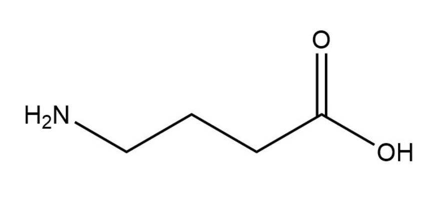 GABA/γ-氨基丁酸,4-Aminobutyric acid