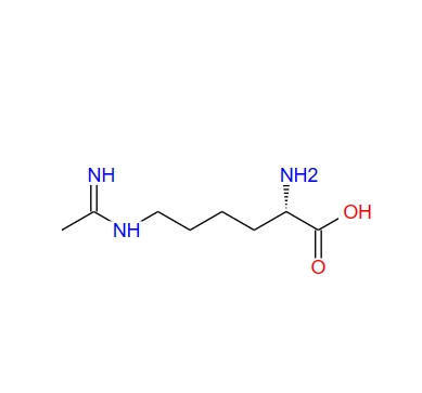 N-(5-氨基-5-羧基戊)-乙脒,N-(5-AMINO-5-CARBOXYPENTYL)-ACETAMIDINE