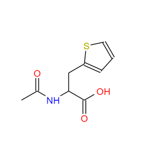 2-乙酰氨基-3-(噻吩-2-基)丙酸