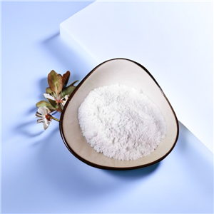 二氧化鈦,Titanium Dioxide