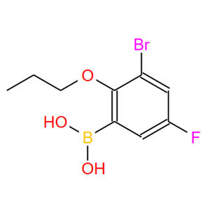 3-溴-5-氟-2-丙氧基苯基硼酸,3-BROMO-5-FLUORO-2-PROPOXYPHENYLBORONIC&