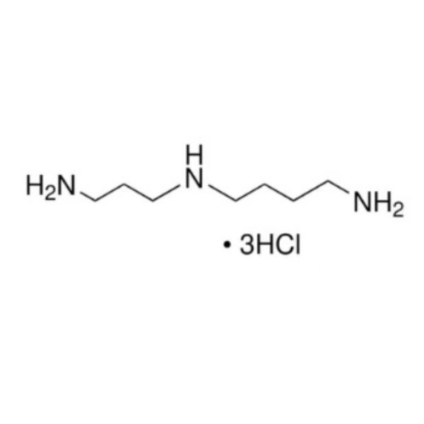 亚精胺,Spermidine