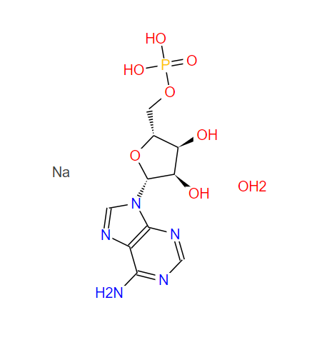 AMP钠盐,ADENOSINE-5-MONO PHOSPHATE DISODIUM