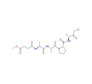 中性粒細(xì)胞彈性蛋白酶抑制劑2,Neutrophil elastase inhibitor 2