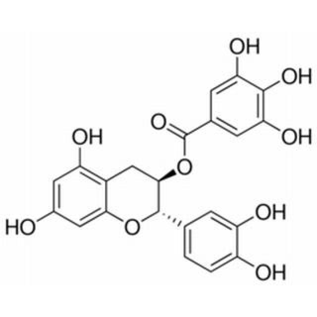 表儿茶素没食子酸酯,(-)-Epicatechin gallate