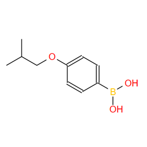 153624-44-3;4-异丁氧基苯基硼酸;4-ISOBUTOXYPHENYLBORONIC ACID