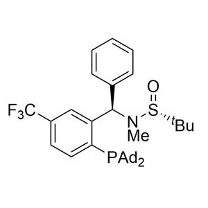 [S(R)]-N-[(R)-(5-三氟甲基)[2-(二金刚烷基膦)苯基]甲基]-N-甲基-2-叔丁基亚磺酰胺