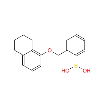 2-[(1′,2′,3′,4′-四氫-5-萘氧基)甲基]苯硼酸,2-[(1′,2′,3′,4′-Tetrahydro-5-naphthyloxy)methyl]phenylboronic acid