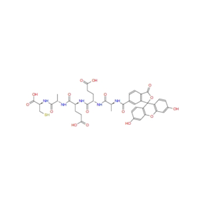 6-FAM-AEEAc-Stichodactyla helianthus Neurotoxin (ShK) 1927927-42-1