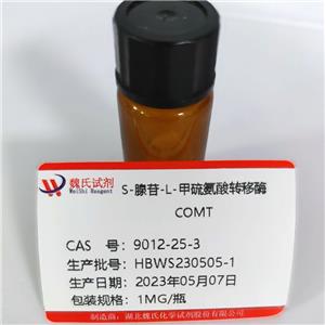 S-腺苷-L-甲硫氨酸轉(zhuǎn)移酶,COMT