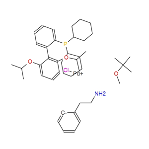 氯(2 -二环己膦基-2