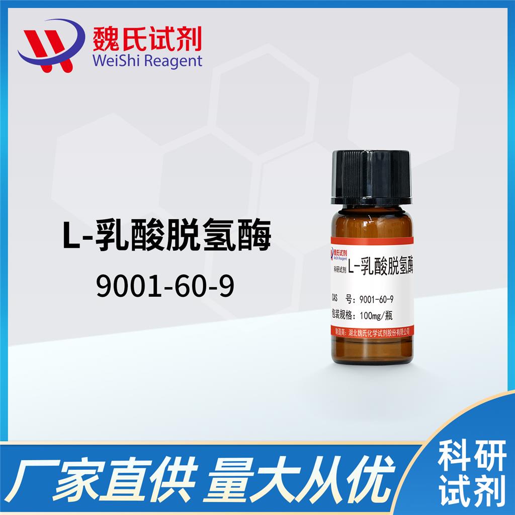 乳酸脱氢酶,L-Lactate dehydrogenase