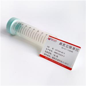 奥瑞组单抗,Ocrelizumab