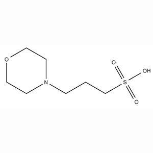 3-吗啉丙磺酸 1132-61-2 3-(N-吗啡啉)乙磺酸 99%含量 MOPS