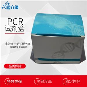 A型流感病毒通用型核酸检测试剂盒（荧光PCR法）