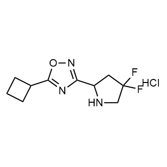 5-環(huán)丁基-3-(4,4-二氟吡咯烷-2-基)-1,2,4-噁二唑鹽酸鹽,5-Cyclobutyl-3-(4,4-difluoropyrrolidin-2-yl)-1,2,4-oxadiazole hydrochloride