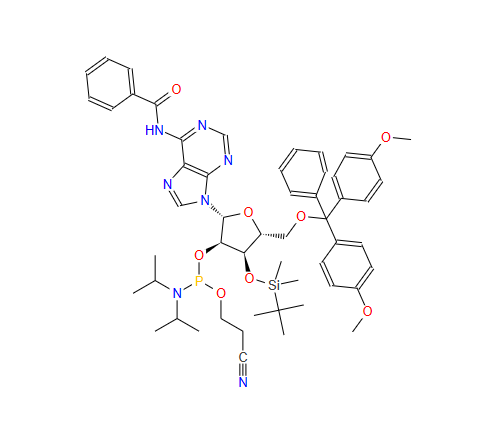 3'-TBDMS-BZ-RA 亞磷酰胺單體,3'-TBDMS-Bz-rA Phosphoramidite