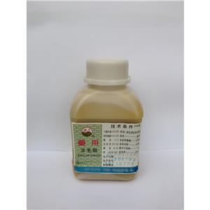 广藿香油(药用辅料),patchouli oil
