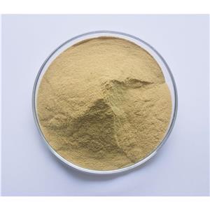 医药原料 黄芩苷 21967-41-9 98% CP标准
