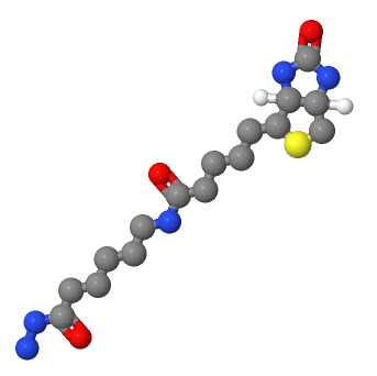 生物素酰胺基己酸肼,BIOTINAMIDOCAPROYL HYDRAZIDE