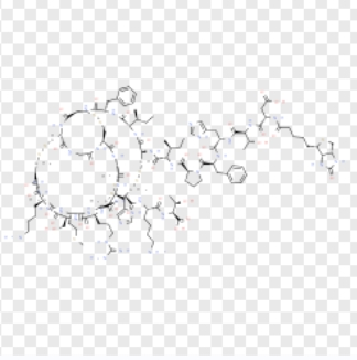 Biotinyl-Hepcidin-25 (human),Biotinyl-Hepcidin-25 (human)