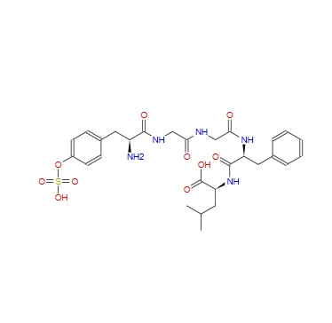 Leu-Enkephalin (sulfated),Leu-Enkephalin (sulfated)